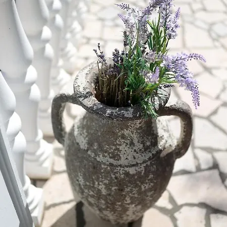 Apartament Moro Vrbnik (Primorje-Gorski Kotar)