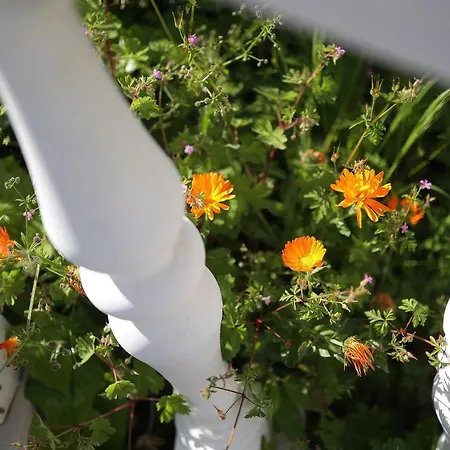 Moro * Vrbnik (Primorje-Gorski Kotar)