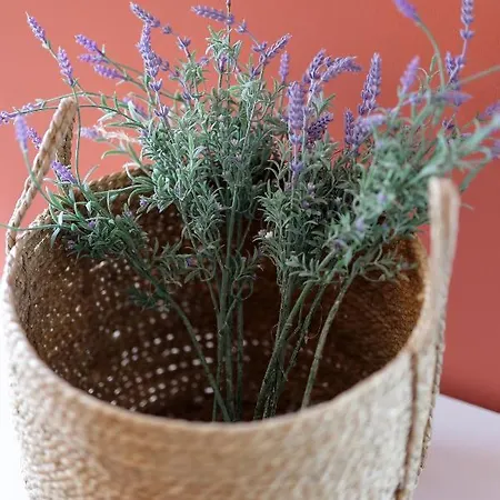 Moro * ヴルブニク