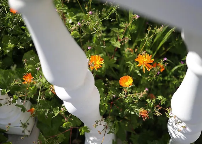 Moro * Vrbnik (Primorje-Gorski Kotar)