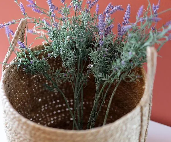 Moro * Vrbnik (Primorje-Gorski Kotar)